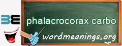 WordMeaning blackboard for phalacrocorax carbo